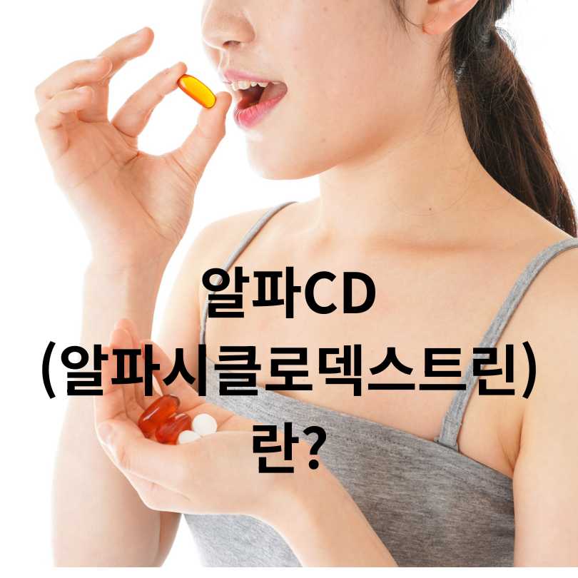 알파CD고르는방법 : 다이어트 효과 제대로 보는 법!