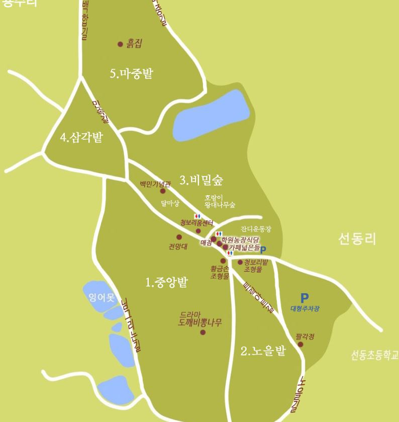 고창 청보리밭 축제 일정 주차 코스 꿀팁