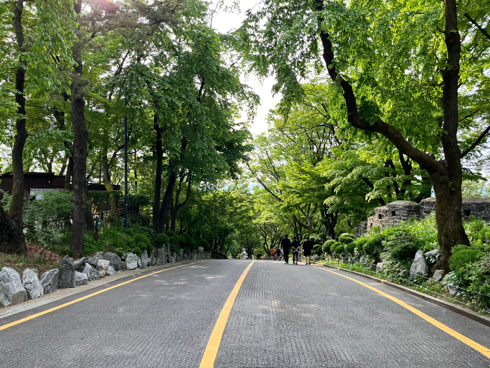 하산하는 길 2