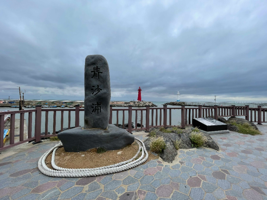 청사포항 주변