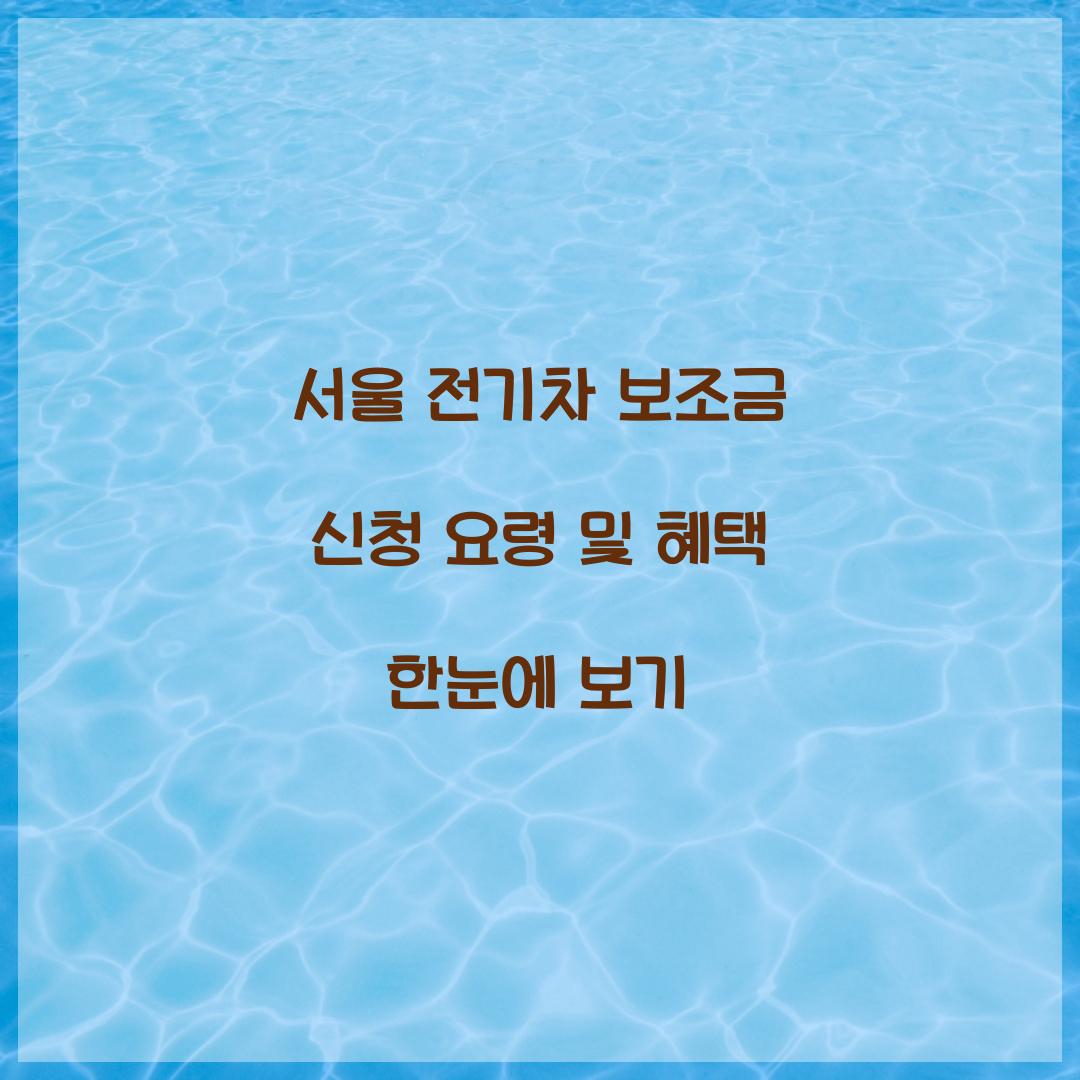 서울 전기차 보조금