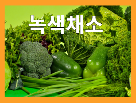 비타민 B군이 풍부한 식품 - 녹색 채소