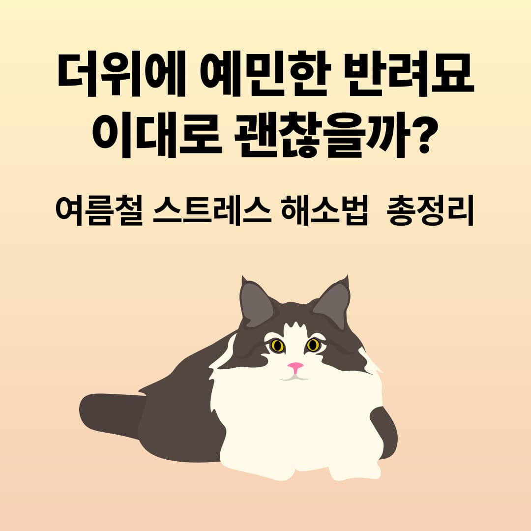 더위에 예민한 반려묘, 이대로 괜찮을까? ❘ 여름철 스트레스 해소법 총정리