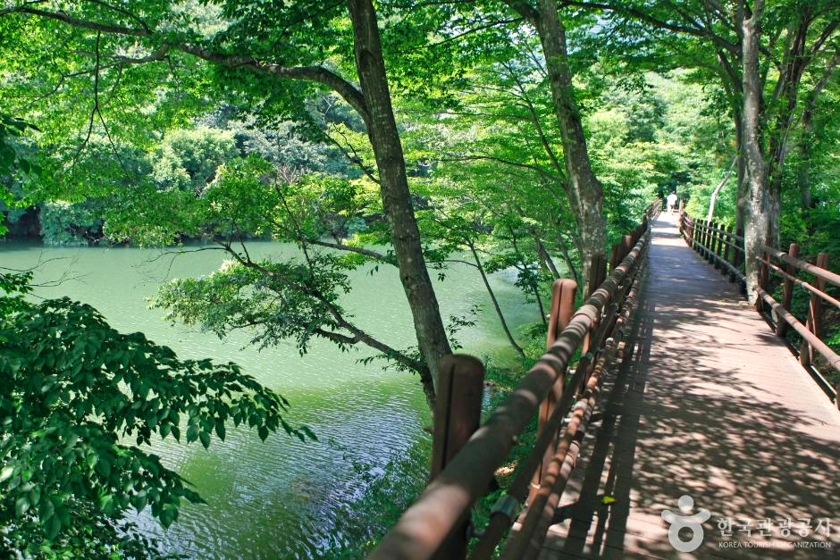 강옆 산책길이 있다.