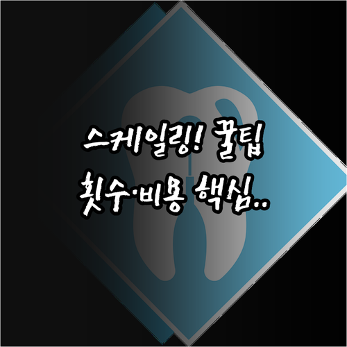스케일링 급여 적용 대상 만 19세 ..