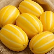 참외 효능 부작용