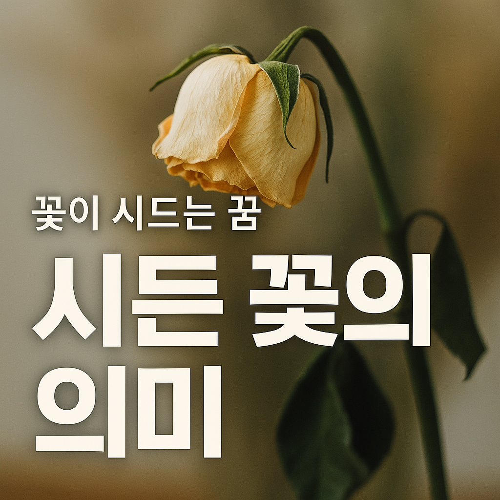 꽃이 시드는 꿈