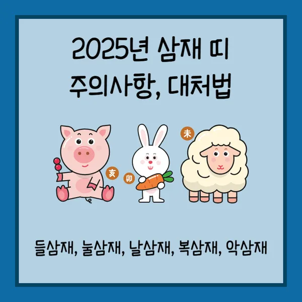 2025년 삼재띠