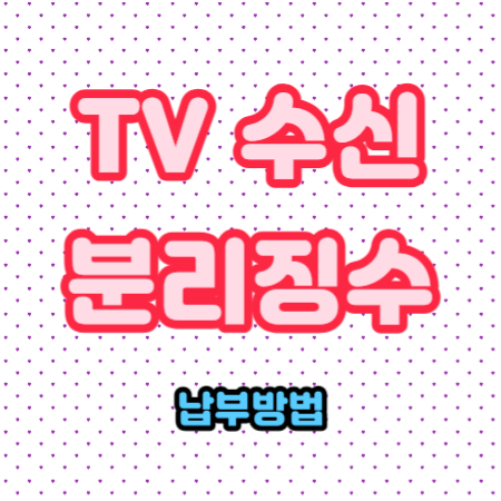 TV수신-분리징수