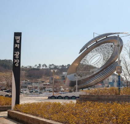 생생정보 생생현장 안동집 기장 대변항 맛집 멸치쌈밥맛집 2025기장멸치축제 