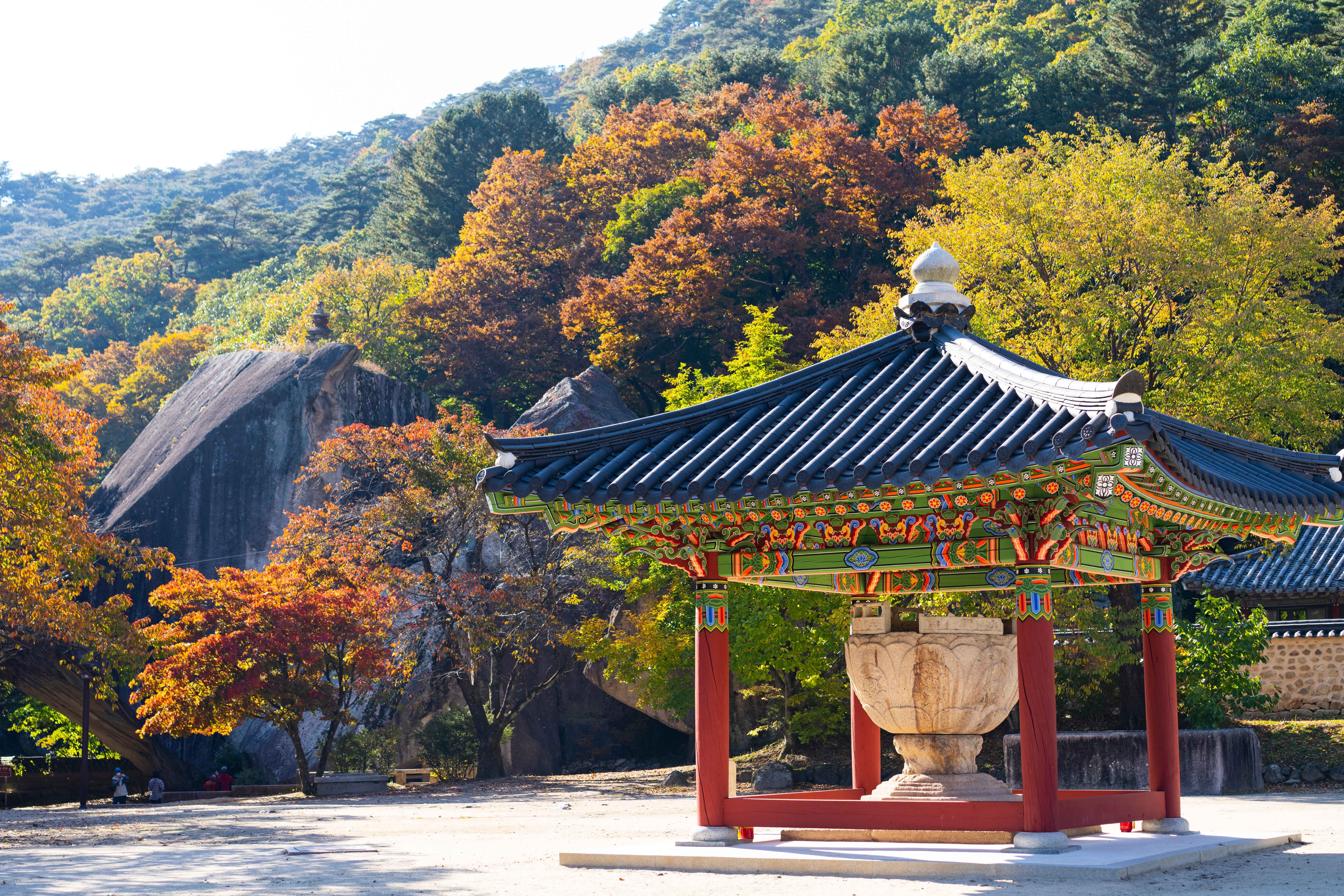 속리산 보은 법주사 가을빛과의 어울림