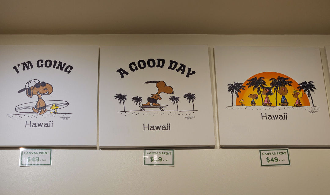 하와이 모니 태닝 스누피