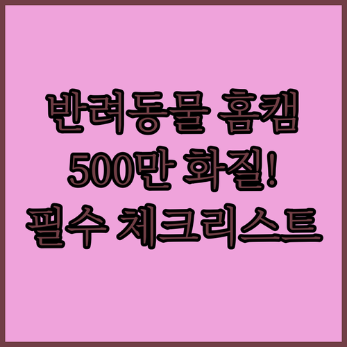 반려동물 빈집 보안용 홈캠 선택 가이..