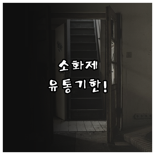 유통기한 지난 소화제 실수로 먹었을 ..