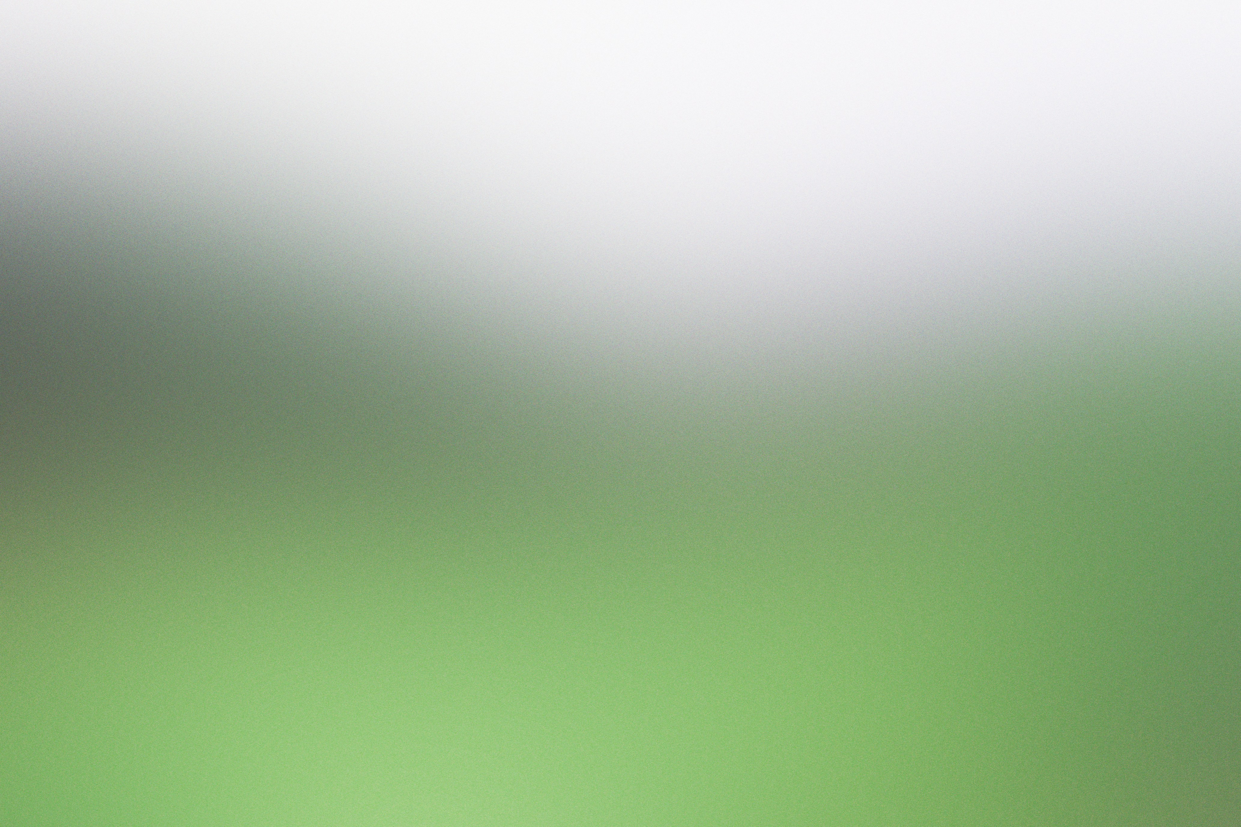 상생페이백사용방법