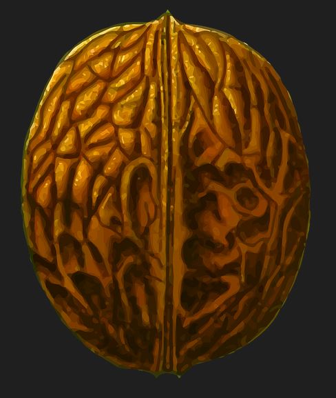 생리통에 좋은 음식