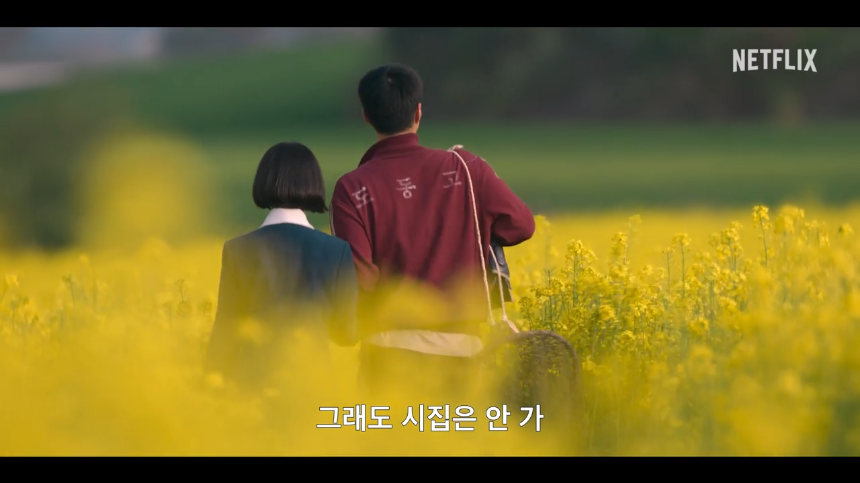 넷플릭스 ‘폭싹 속았수다’ 줄거리 완벽 정리! 반전과 감동의 연속