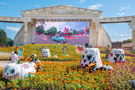 에버랜드 큐패스 가격