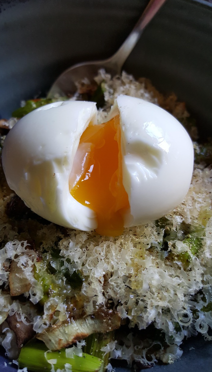 근육감소 예방을 위한 단백질 섭취 전략