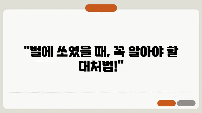 벌에 쏘였을 때 응급 처치 방법