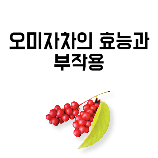 오미자차의 효능과 부작용