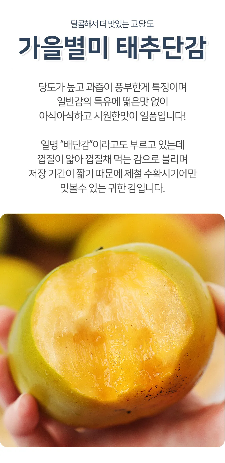 태추단감 이란 아직도 그냥 단감이라고 생각하세요 feat 일반 단감과 완벽 비교 분석으로_1