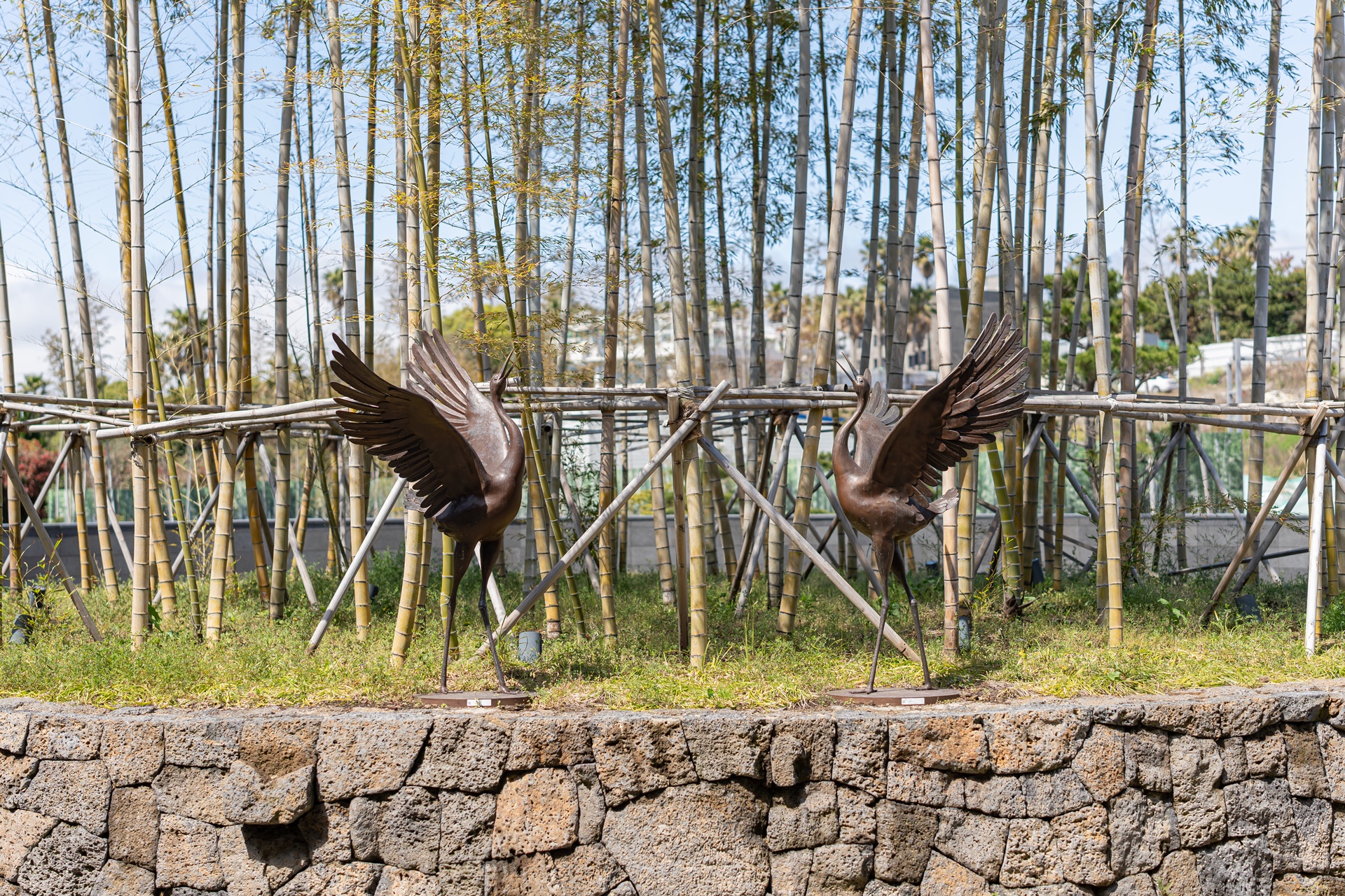 #JW메리어트제주호텔 #댄싱두루미 #제주가성비카페 #제주메리어트 #제주베이커리 #제주호텔 #제주맛집 #제주빵 #제주여행 #제주카페