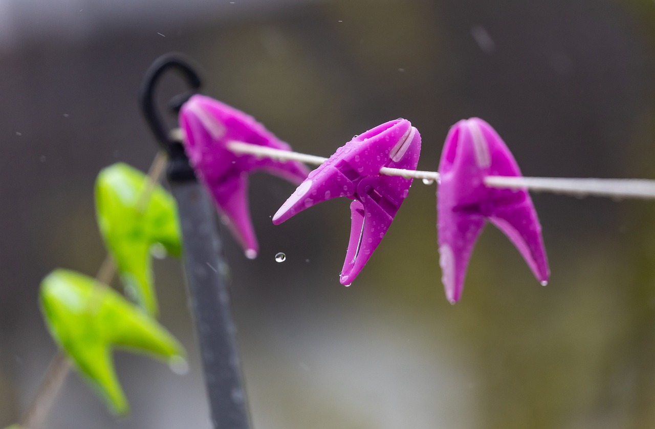 5월 인사말 모음! 40가지 꼭 전하세요