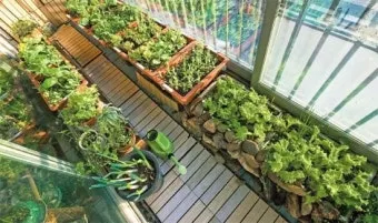 베란다 텃밭 흙 고르기 배수층 화분 선택 물주기 비료주기_5