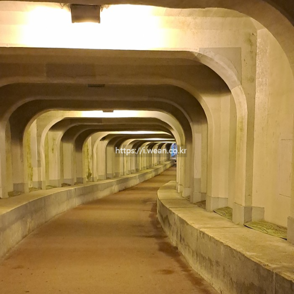 터널 내부가 펼쳐져 있습니다.