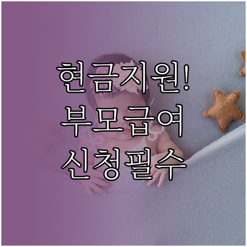 부모급여 아동수당 놓치지 않는 법 출..