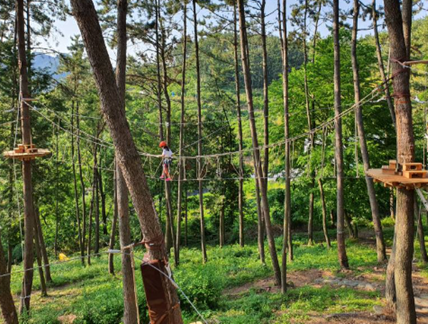 거제 맹종죽테마공원