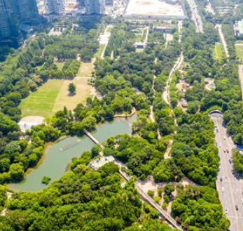 11월 서울 경기도 축제15