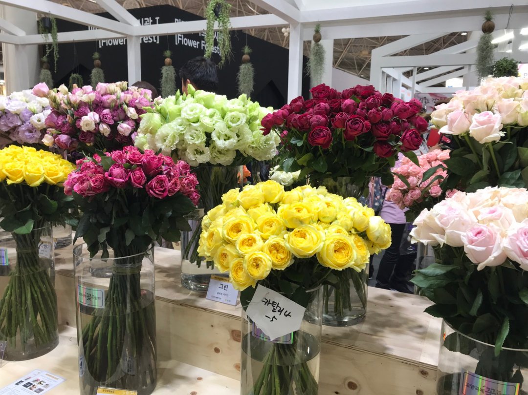 실내에 있던 여러 가지 꽃들 사진입니다.