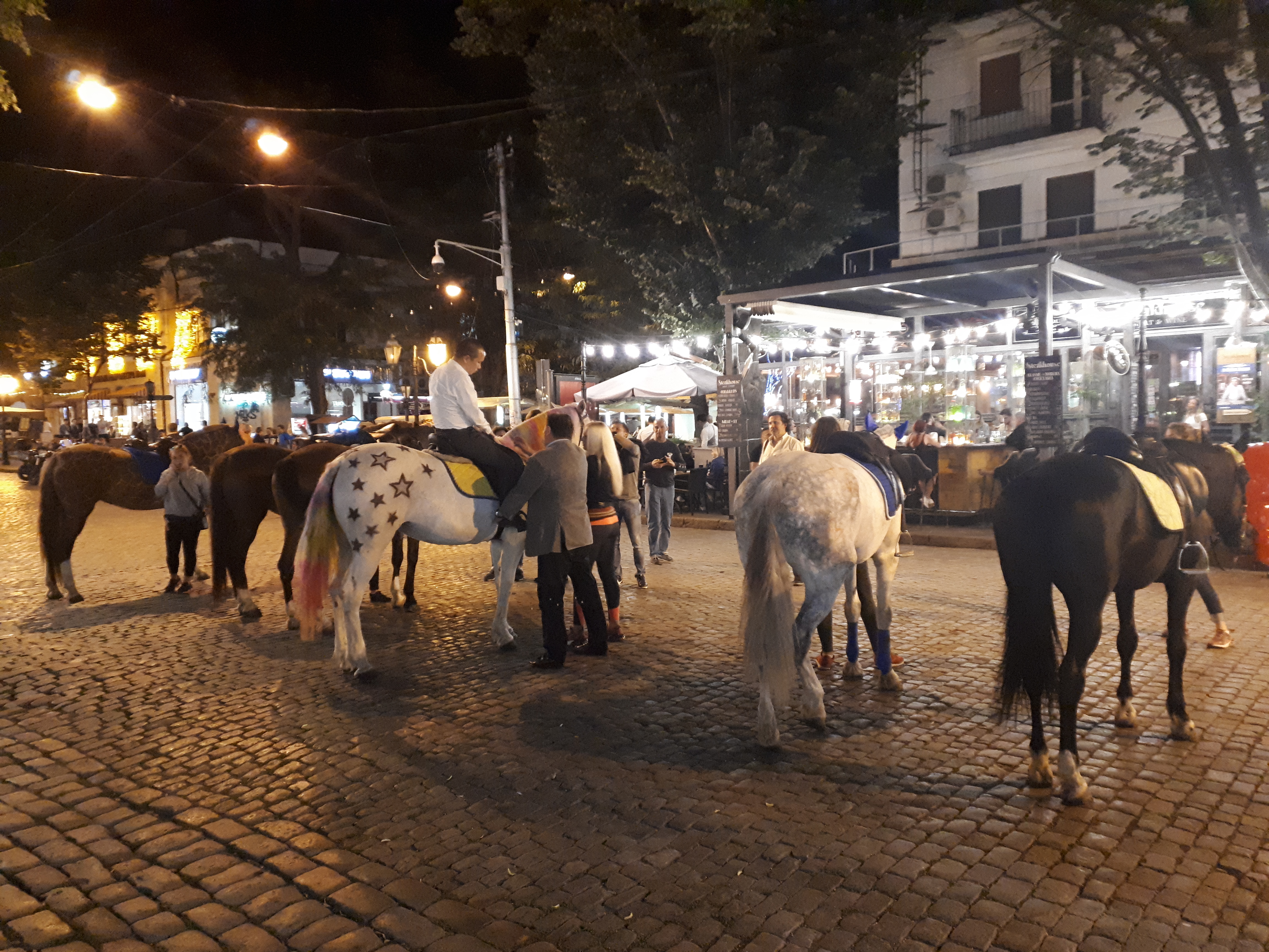 우크라이나 오데사 길거리 말타기