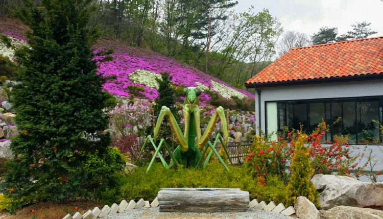 덕평 공룡수목원