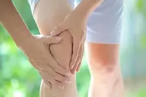 무릎