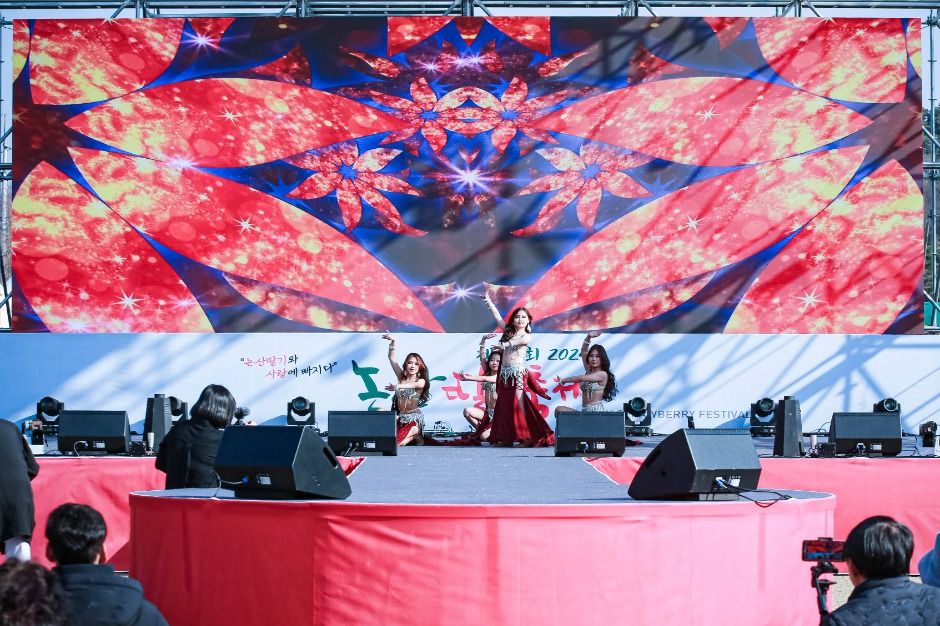 2025 논산 딸기축제 일정, 장소, 프로그램, 공연, 체험, 행사, 헬기, 한우 시식 관련 공연 축제 이미지