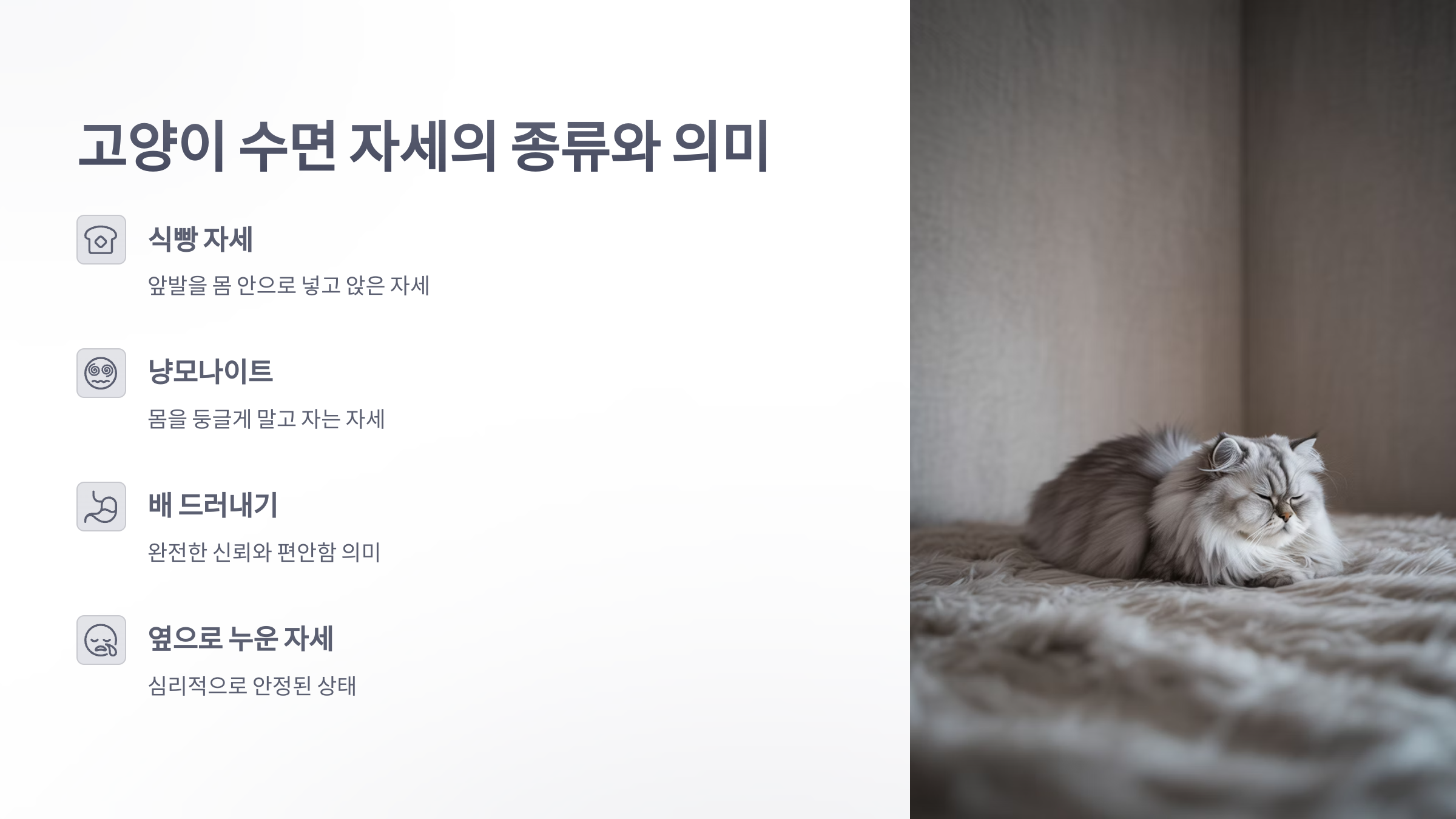 참조-고양이의-자는-자세-2