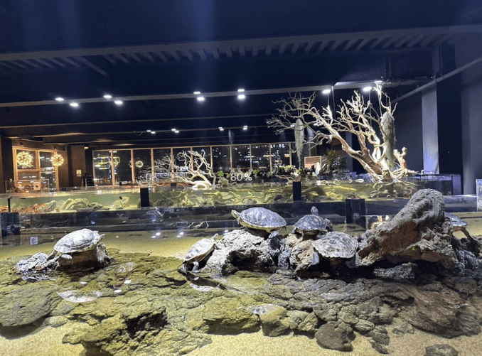 김포-수풀림아쿠아카페