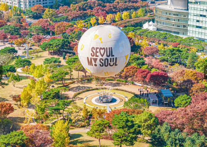 하늘 위에서 즐기는 벚꽃, '서울달'