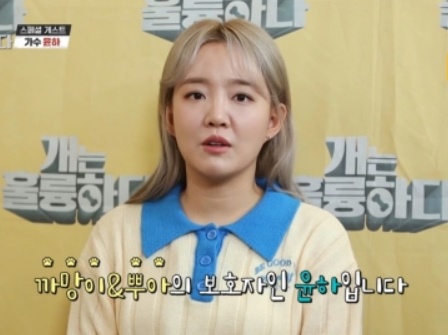 개훌륭 강형욱 윤하