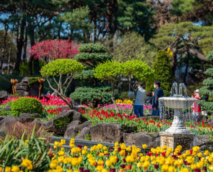 환경의날 기념행사 6월 축제