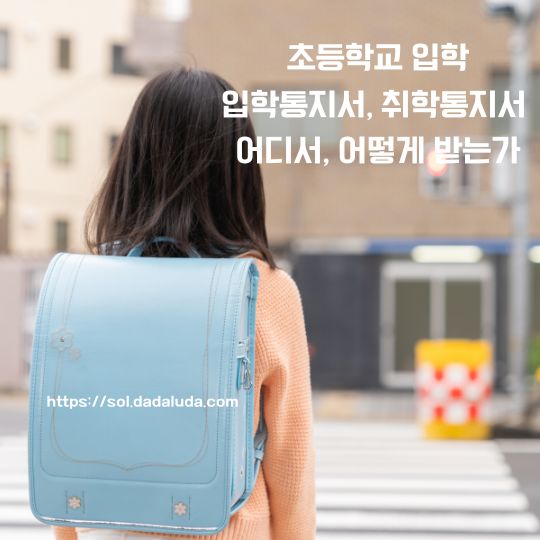 초등학교 입학통지서 취학통지서