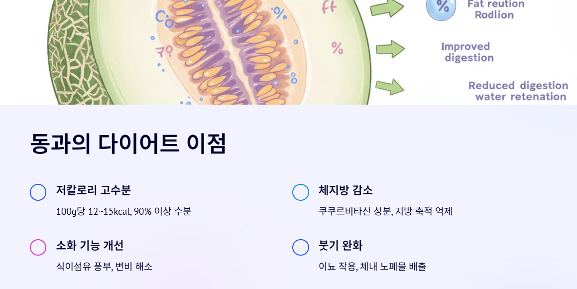 동과 다이어트 효과