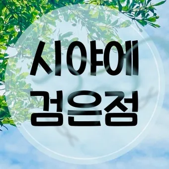 시야에 검은점 시야에 까만점이 보일때 원인과 대처법_2
