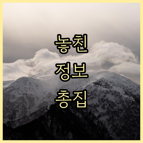 신한은행 이체 한도 완벽 분석 변경 