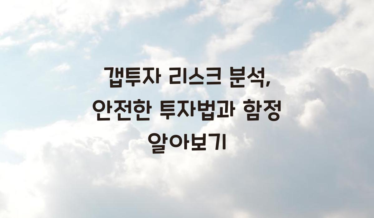갭투자 리스크 분석