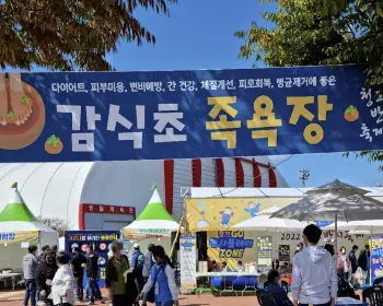 청도 반시축제_30