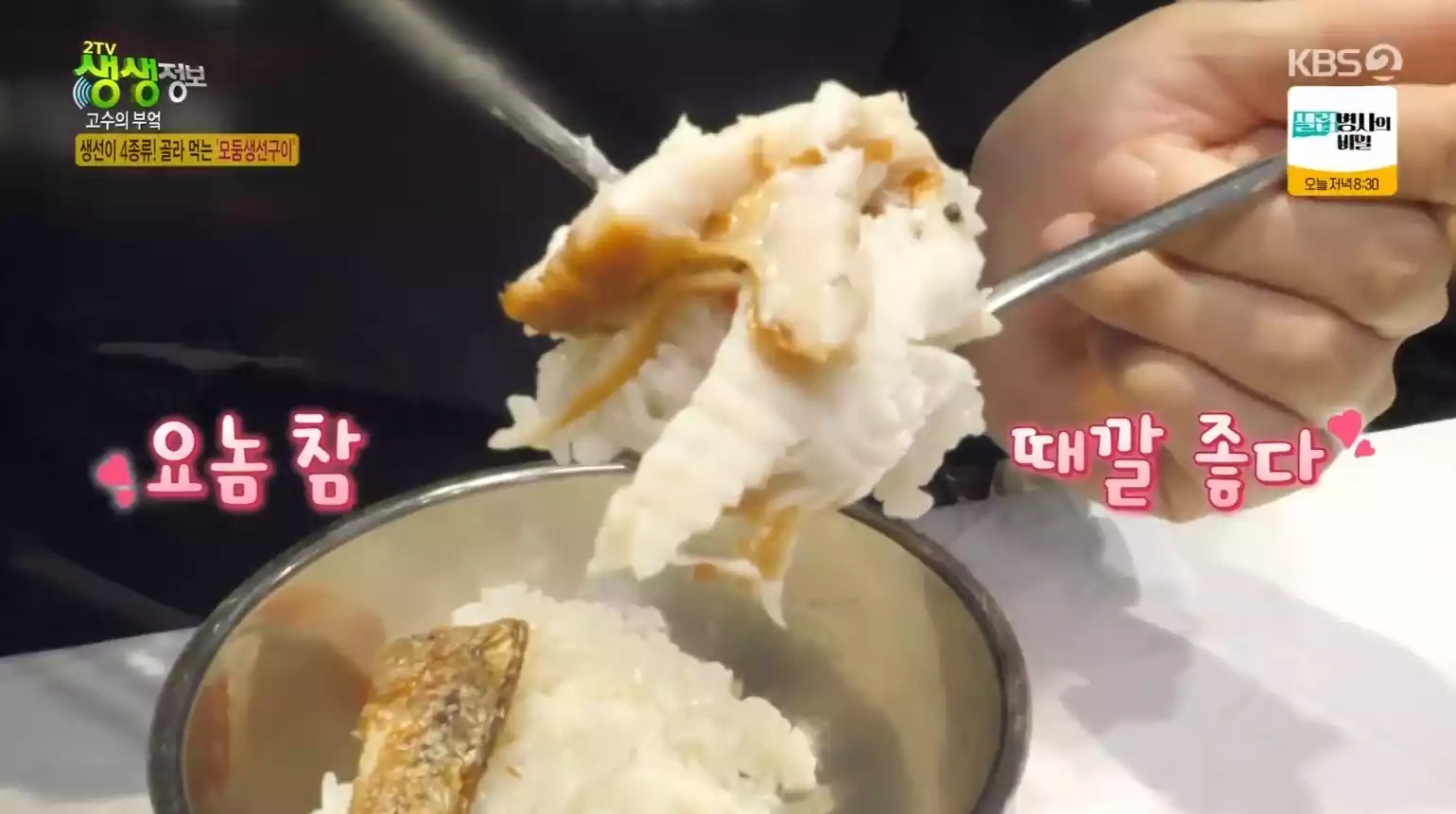 갈치